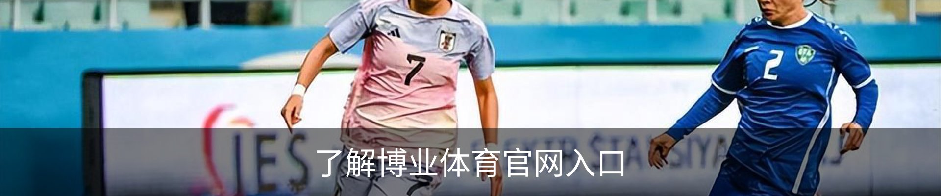 了解博业体育官网入口
